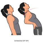 Thoracic-AROM_Extension_spinal ROM