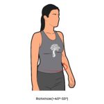 Thoracic-AROM_Rotation_spinal ROM