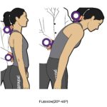 Thoracic-Goniometry_Flexion_spinal ROM