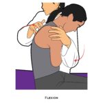 Thoracic-PROM_Flexion_spinal ROM