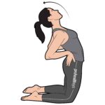 Torso_82_stretching