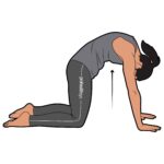 Torso_89_stretching