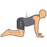 Torso_91_stretching