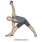 Twisting Poses_Extended Triangle_yoga