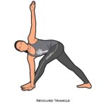 Twisting Poses_Revolved Triangle_yoga