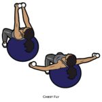 Upper Body_Chest Fly_body ball