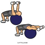 Upper Body_Lat Pullover_body ball