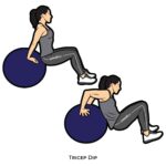 Upper Body_Tricep Dip_body ball