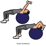 Upper Body_Tricep Extension_body ball