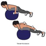 Upper Body_Tricep Kickback_body ball