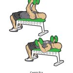 Upper body_Chest Fly_dumbbell