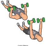 Upper body_Chest Press_dumbbell