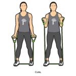 Upper body_Curl_resistance band_c