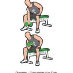 Upper body_Dumbbell Concentration Curl_dumbbell