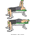 Upper body_Dumbbell Pullover_dumbbell