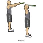 Upper body_Facepull_resistance band_c