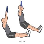Upper body_Pull-up_suspension