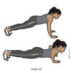 Upper body_Push-Up_bodyweight