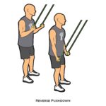 Upper body_Reverse Pushdown_resistance band_c