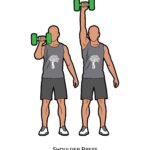 Upper body_Shoulder Press_dumbbell