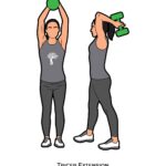 Upper body_Tricep Extension_dumbbell