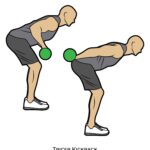 Upper body_Tricep Kickback_dumbbell