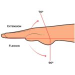 Wrist AROM_Extension-Flexion_Upper Limb ROM