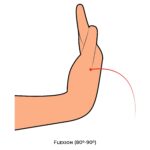 Wrist AROM_Flexion_Upper Limb ROM