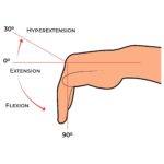 Wrist AROM_Hyperextension-Extension-Flexion_Upper Limb ROM