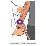 Wrist Goniometry_Adduction (ulnar flexion)_Upper Limb ROM