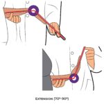 Wrist Goniometry_Extension_Upper Limb ROM