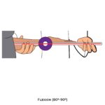 Wrist Goniometry_Flexion_Upper Limb ROM