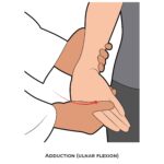 Wrist PROM_Adduction (ulnar flexion)_Upper Limb ROM