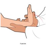 Wrist PROM_Flexion_Upper Limb ROM