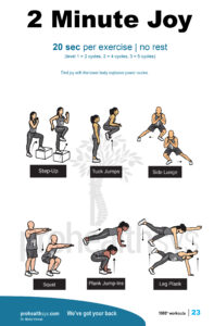 1000_no_equipment_workouts_E-Book_Vizniak_25